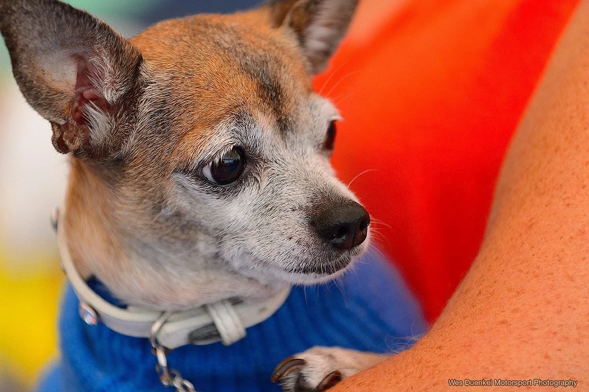 Rum Bum Racing crew member